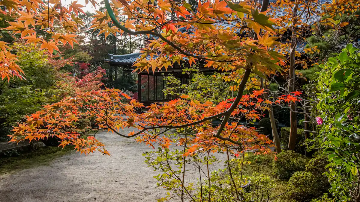 Taman Rumah Ala Jepang dengan Daun Berguguran
